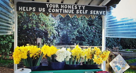 Eastern Dandenong Ranges Visitor Information Centre - Holiday Find 15