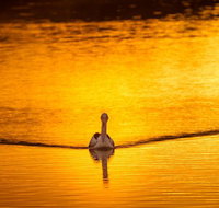 River Shack Rentals - Living the Dream - Holiday Find