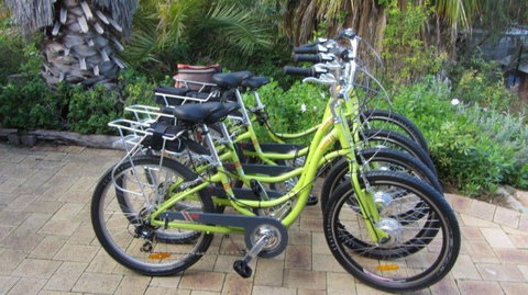 Paul's Eco E Bike Tours - Holiday Find 0