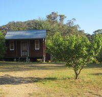 Peach Tree Cabin - Holiday Find