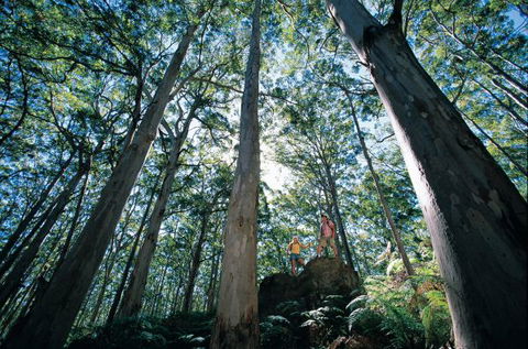 Point Road Camp At Leeuwin-Naturaliste National Park - Holiday Find 1