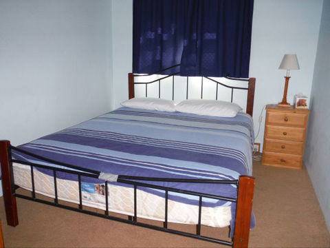 The Palms - Holiday Find 3