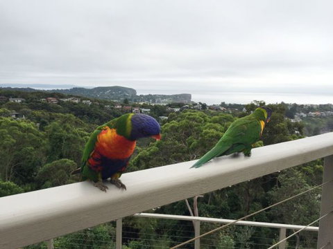 Avalon Horizons - Holiday Find 8