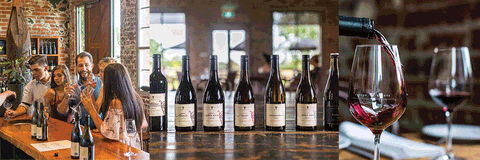 Trofeo Estate - Holiday Find 1