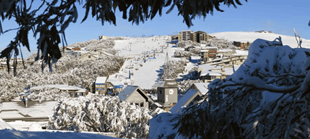 Alpine Ridge Lodge