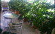 Aba Abode - thumb 0