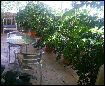 Aba Abode - Holiday Find 0