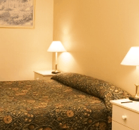 Best Western Abel Tasman Airport Motor Inn - Holiday Find