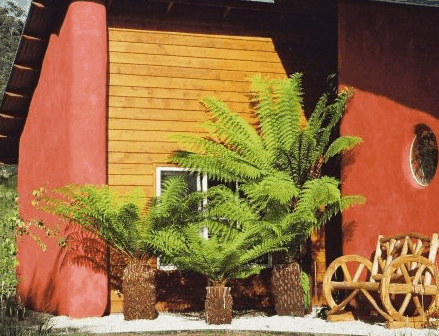 Whispering Spirit Cottage & Miniature Pony Stud - Holiday Find 0