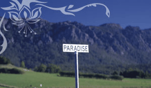 Glencoe Country Bed And Breakfast - Holiday Find 2