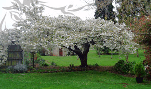 Glencoe Country Bed And Breakfast - Holiday Find 3