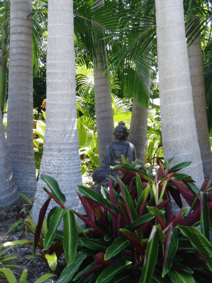 Amber Gardens Guesthouse - Holiday Find 3