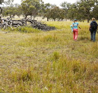Carnarvon National Park camping - Holiday Find