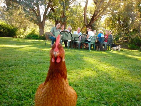 Baranduda Homestead B&B Cottages - Holiday Find 9
