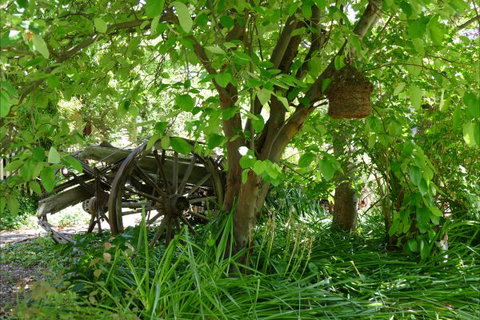 Willowbrook Heritage Bed & Breakfast - Holiday Find 7