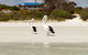 Kangaroo Island Star Beach House - thumb 0