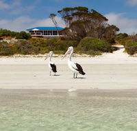 Kangaroo Island Star Beach House - Holiday Find