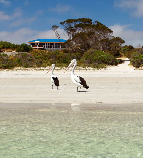 Kangaroo Island Star Beach House - Holiday Find 0