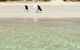 Kangaroo Island Star Beach House - thumb 4