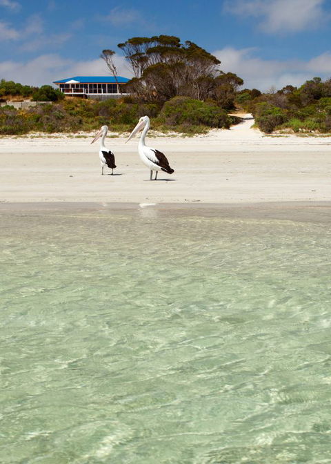 Kangaroo Island Star Beach House - Holiday Find 4