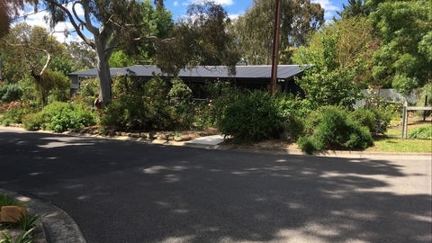 Hilltop Too - Holiday Find 0