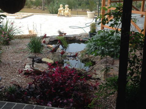 BellbirdHill Bed And Breakfast - Holiday Find 8