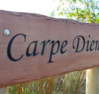 Carpe Diem - Holiday Find