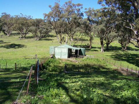 Catninga Mountain Camp Hut - Holiday Find 7