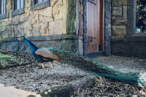 Castle Suites - Kryal Castle - Holiday Find 5