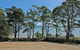 Cloudy Bay Lagoon Estate - thumb 6