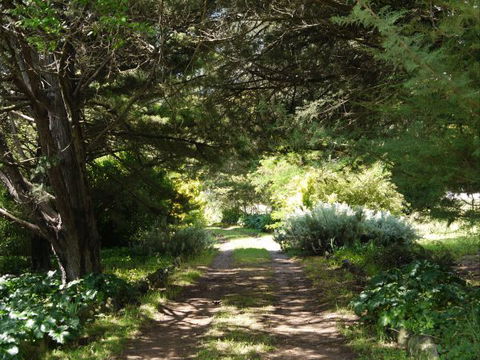 Coodravale Homestead - Holiday Find 8
