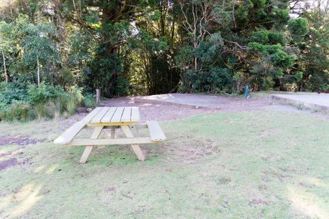 Lamington National Park Camping Ground - Holiday Find 2