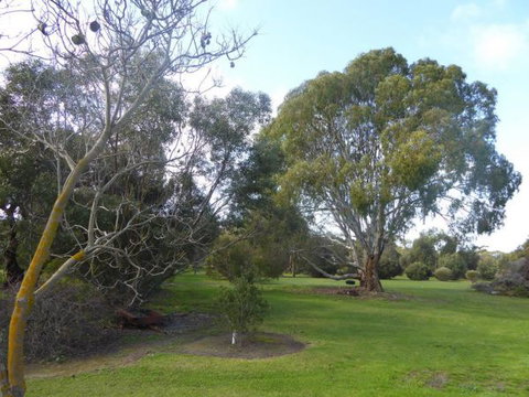 Lemontree Cottage Kangaroo Island - Holiday Find 2
