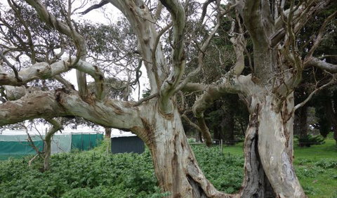 Morella Farm Stay - Holiday Find 10