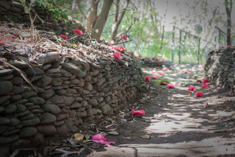 Mrs Simpson Cottage At Norala Garden - Holiday Find 6