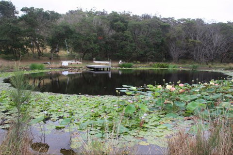 Murrah Luxury Holiday Accommodation - Holiday Find 8