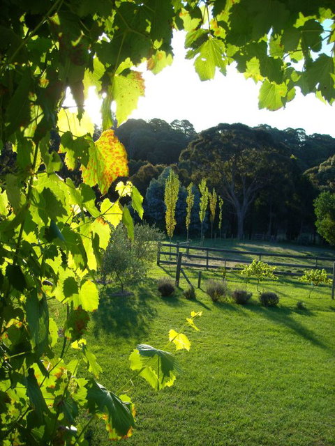 Old Chilli B&B Daylesford - Holiday Find 3