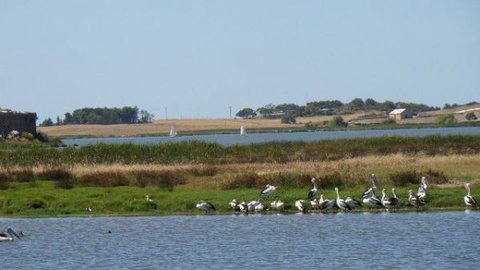 Peppertree Cottage - Holiday Find 3