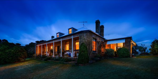 Hollow Tree TAS Holiday Find