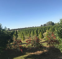 Rutherglen Christmas Trees Farm Stay - Holiday Find