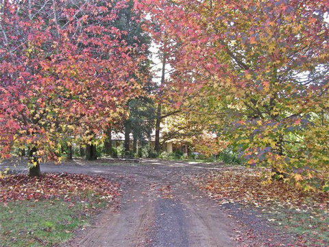 Rustic Spirit - Holiday Find 0