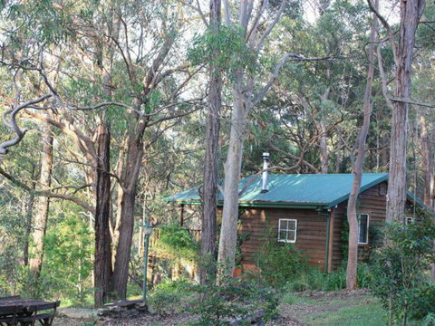 Rustic Spirit - Holiday Find 5