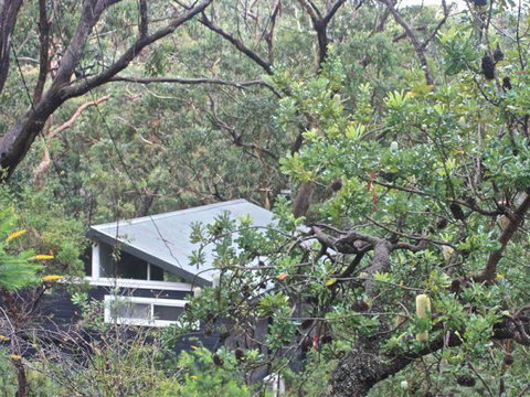 Rustic Spirit - Holiday Find 6