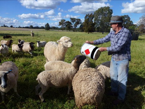 Selby Organic Farm Stay - Holiday Find 6