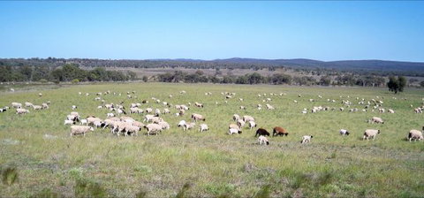 Selby Organic Farm Stay - Holiday Find 7