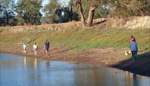 Selby Organic Farm Stay - Holiday Find 9