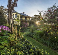The Corinda Collection - Holiday Find