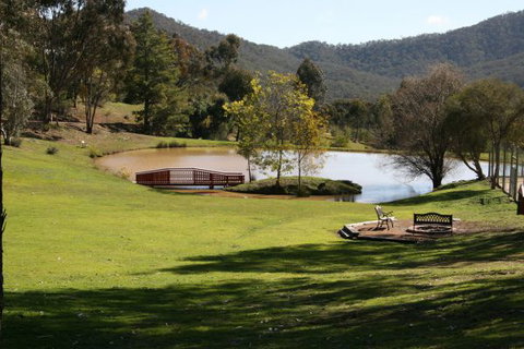 The Black Sparrow - Holiday Find 0