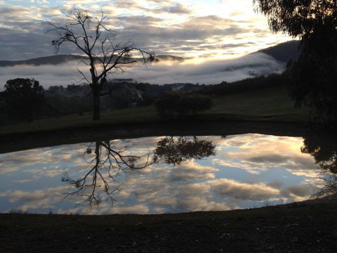 The Black Sparrow - Holiday Find 1