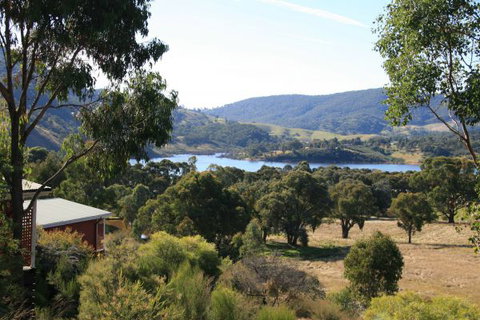 The Black Sparrow - Holiday Find 2